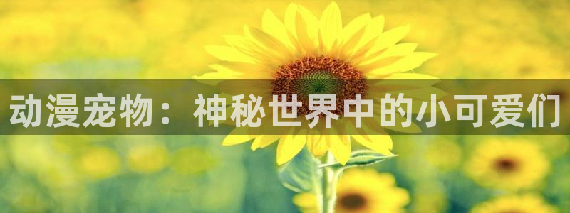 囧次元官网最新下载：动漫宠物：神秘世界中的小可爱们
