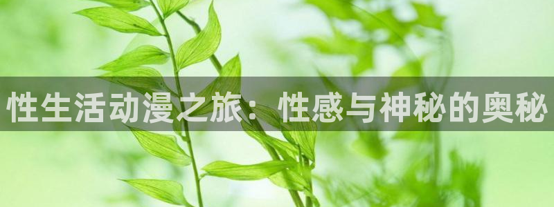 囧次元正版下载官方入口