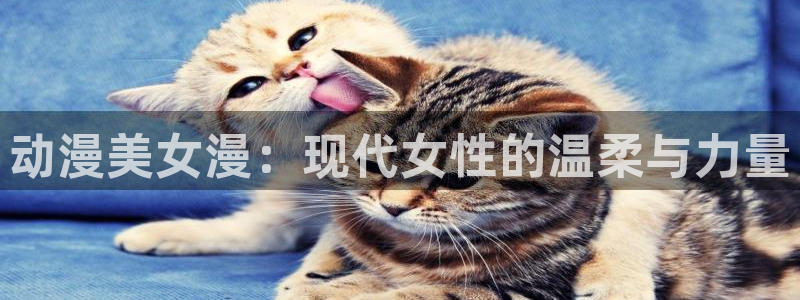 正版囧次元