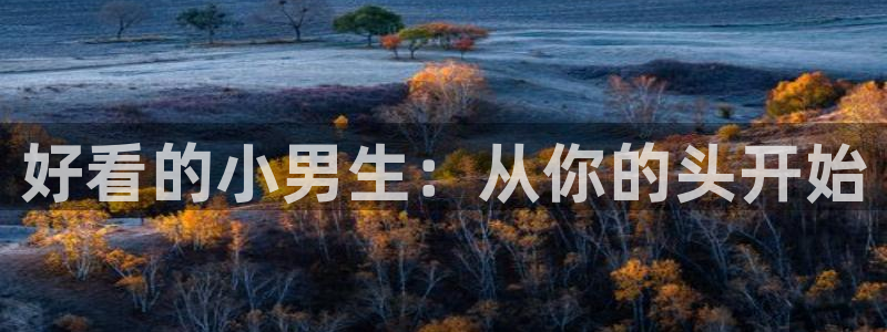 囧次元app下载官网版：好看的小男生：从你的头开始