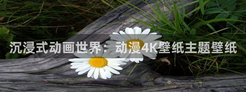 囧次元正版app：沉浸式动画世界：动漫4K壁纸主题壁纸