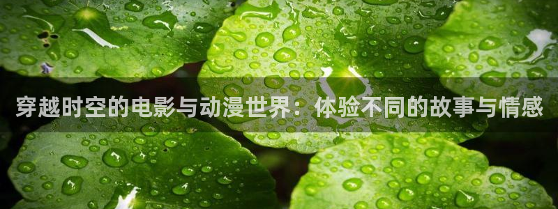 jcyapp.囧次元官网入口：穿越时空的电影与动漫世界：体验不同的故事与情感