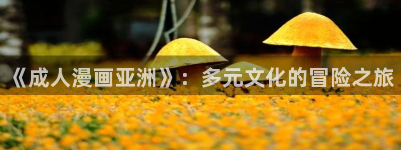 囧次元下载最新：《成人漫画亚洲》：多元文化的冒险之旅