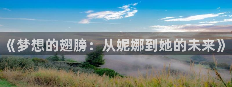 囧次元看动漫免费：《梦想的翅膀：从妮娜到她的未来》