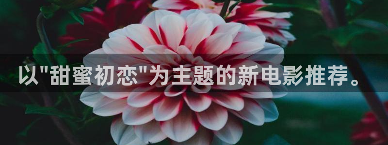 囧次元动漫app正版下载：以\
