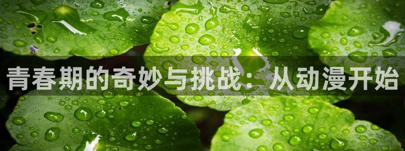 囧次元最新版本：青春期的奇妙与挑战：从动漫开始