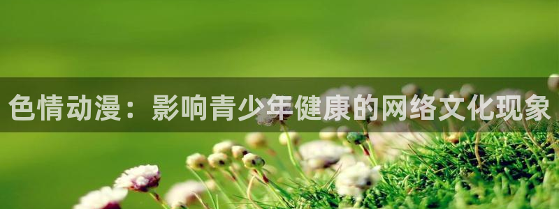 囧次元官网入口下载最新版：色情动漫：影响青少年健康的网络文化现象