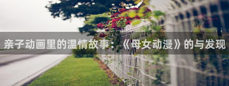 囧次元官方网站入口下载最新版本：亲子动画里的温情故事：《母女动漫》的与发现