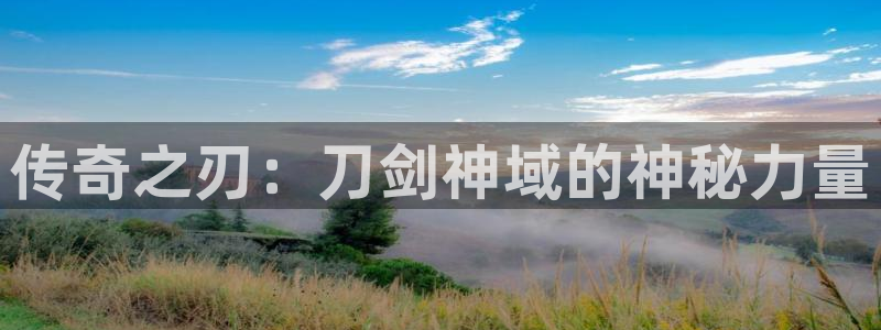 囧次元正版免费下载：传奇之刃：刀剑神域的神秘力量