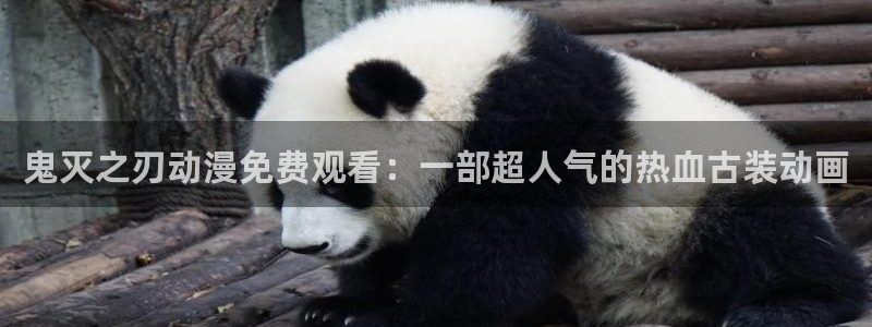 囧次元正版官方网址：鬼灭之刃动漫免费观看：一部超人气的热血古装动画