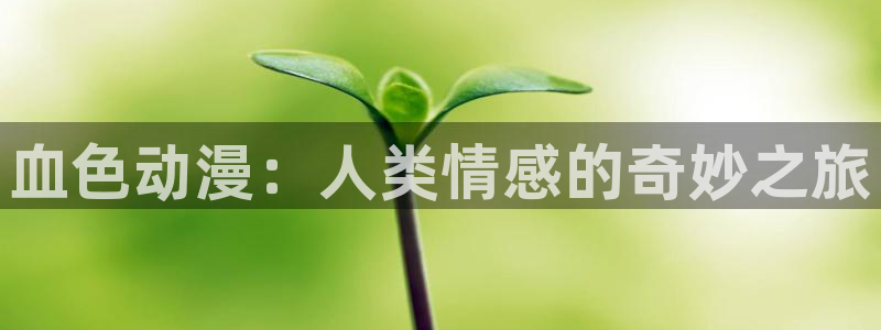 囧次元官方网站ios版本：血色动漫：人类情感的奇妙之旅