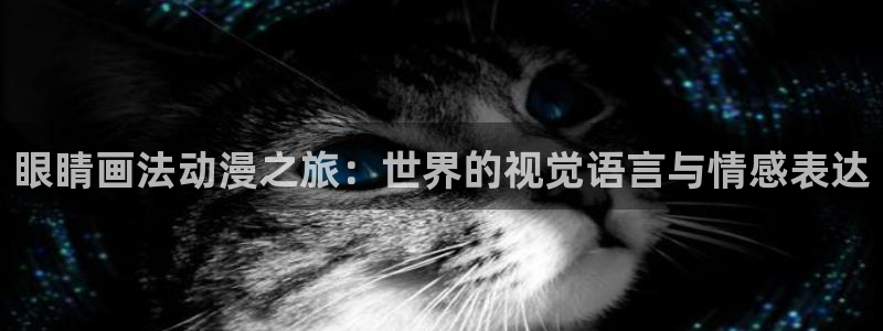 囧次元官网：眼睛画法动漫之旅：世界的视觉语言与情感表达