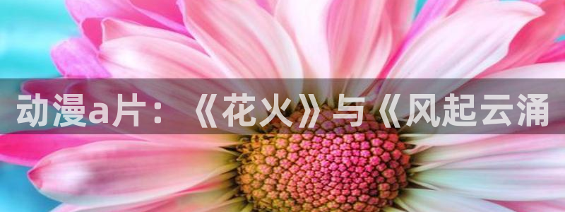 囧次元正版免费下载：动漫a片：《花火》与《风起云涌