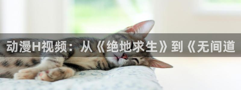 囧次元动漫官网下载入口：动漫H视频：从《绝地求生》到《无间道