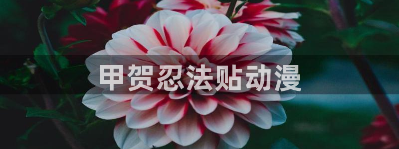 囧次元官方网：甲贺忍法贴动漫