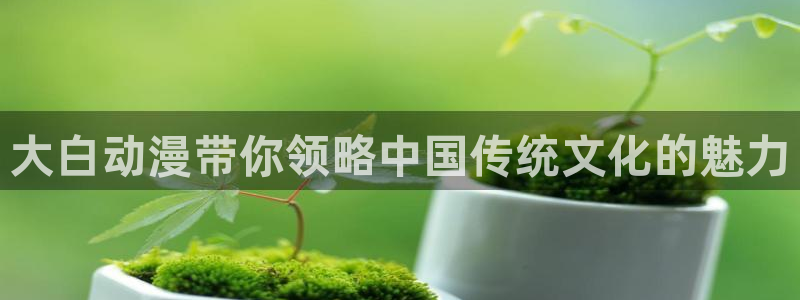 囧次元免费：大白动漫带你领略中国传统文化的魅力
