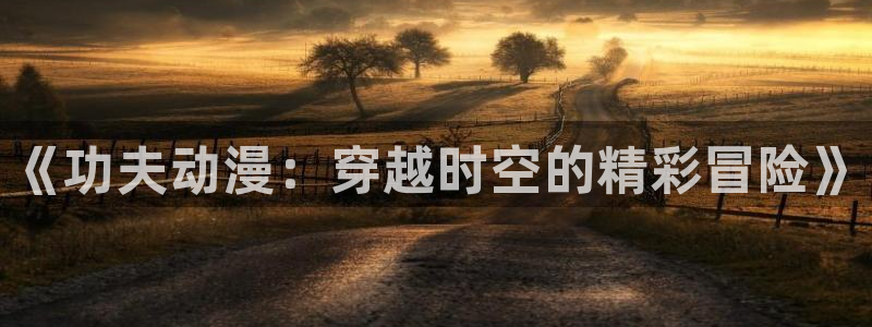 囧次元在线看：《功夫动漫：穿越时空的精彩冒险》