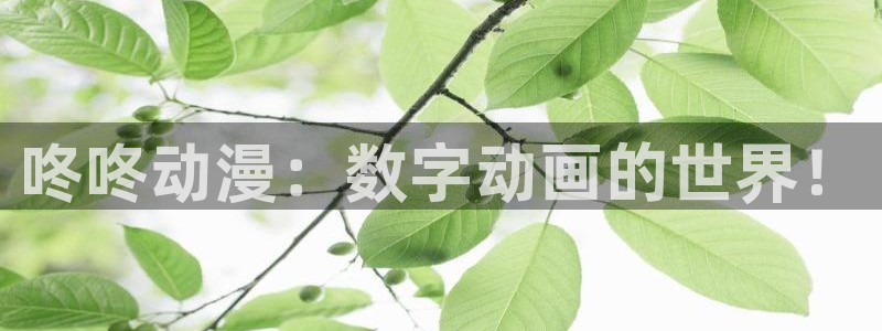 囧次元app官网入口下载：咚咚动漫：数字动画的世界！