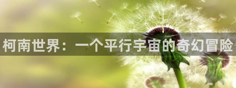 囧次元看动漫免费：柯南世界：一个平行宇宙的奇幻冒险