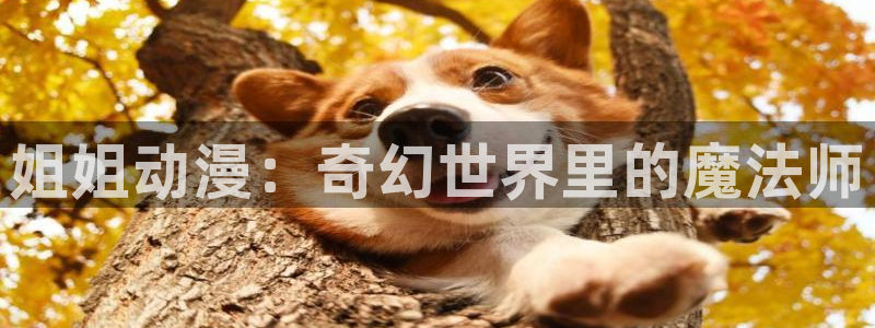 囧次元官方网页入口：姐姐动漫：奇幻世界里的魔法师