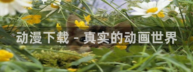 囧次元动漫app正版：动漫下载 - 真实的动画世界