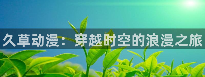 囧次元正版下载安装：久草动漫：穿越时空的浪漫之旅