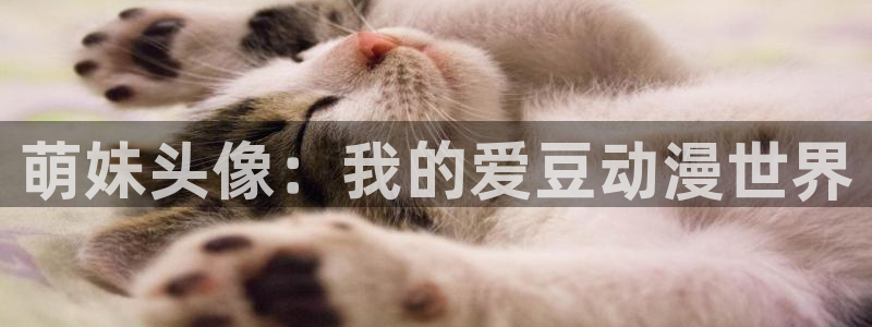 囧次元动漫官网下载入口：萌妹头像：我的爱豆动漫世界