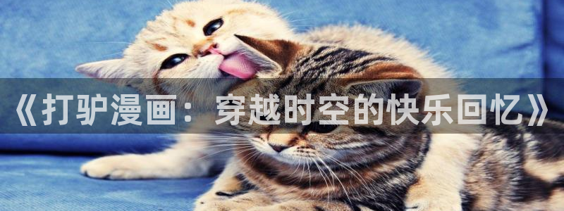 囧次元在线看：《打驴漫画：穿越时空的快乐回忆》