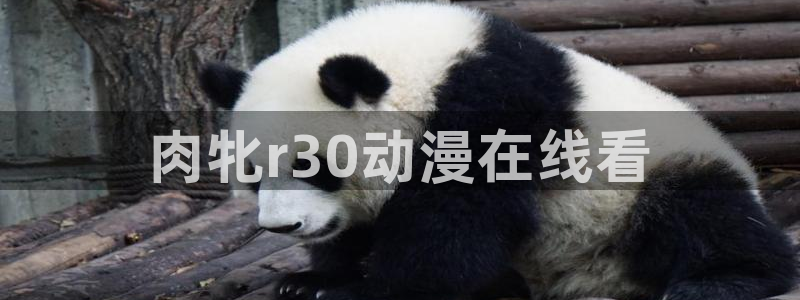 囧次元囧次元：肉牝r30动漫在线看