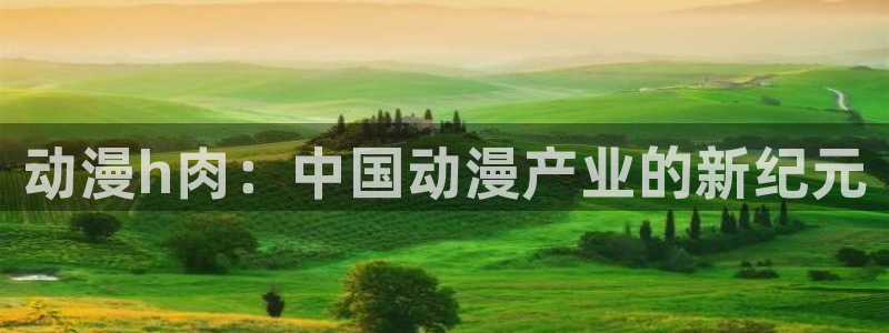 囧次元网页版入口：动漫h肉：中国动漫产业的新纪元