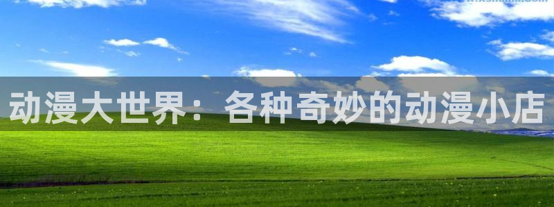 囧次元免费下载官方正版：动漫大世界：各种奇妙的动漫小店