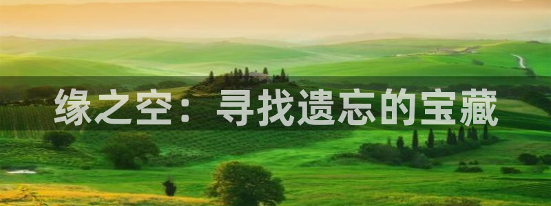 囧次元下：缘之空：寻找遗忘的宝藏