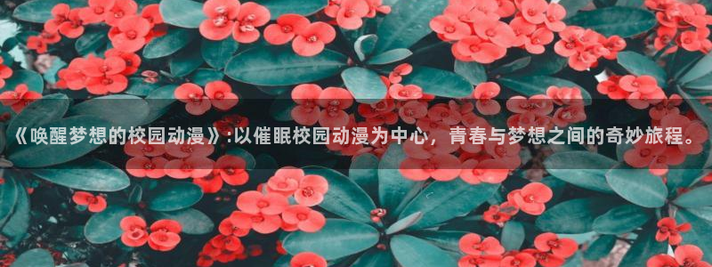 囧次元最新版官方正版：《唤醒梦想的校园动漫》:以催眠校园动漫为中心，青春与梦想之间的奇妙旅程。