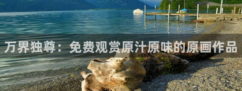 囧次元官方最新版：万界独尊：免费观赏原汁原味的原画作品